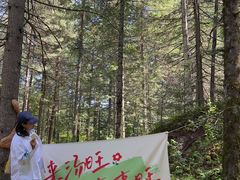 -汤旺河林海奇石景区