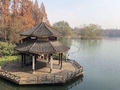 -浙江宾馆·花园餐厅·自助餐厅·茶吧