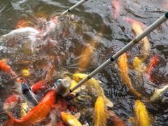 -呀诺达热带雨林