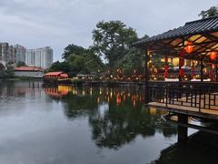 -侨美·唐荔园·40年地道粤菜