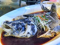 清蒸西海胖头鱼-雅和生态渔庄·宜城锅巴饭(龙灵山公园店)