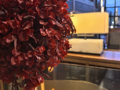 -时光吧·大堂吧·丽江和府洲际度假酒店