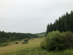 -塞罕坝国家级自然保护区