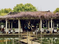 -西园戒幢律寺