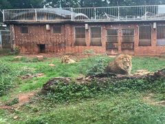 -昆明动物园