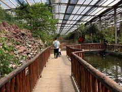 -呀路古热带植物园