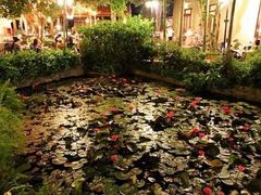 -河内西湖莲花自助餐厅