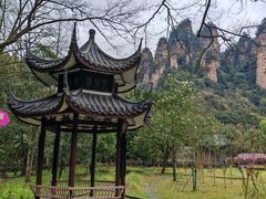 -富正毅三下锅·湘西韵味(天门山索道店)