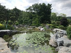 -东莞植物园