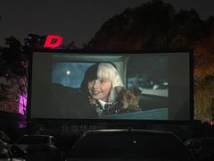 -枫花园汽车电影院(朝阳公园店)
