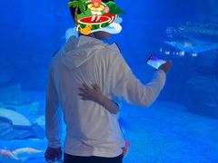 -烟台海昌鲸鲨海洋公园