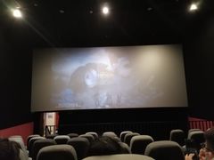 -中影嘉华国际影城(大芬星都里店)