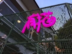 -有猫主题·治愈系猫咖(曾厝垵店)