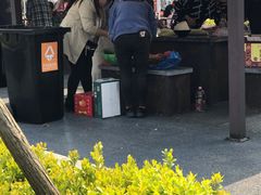 -春花秋色城市公园