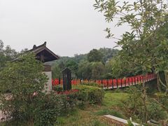 -五凤溪古镇