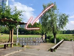 -艾溪湖湿地公园