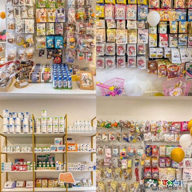 🦀️成都｜明星同款宠物店❗️毛孩子的快乐星球