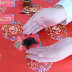 -喜喜月子爱护机构(槐东南路店)