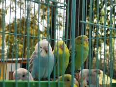 -前小桔亲子创意农场·草莓采摘·露营烧烤