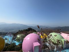 -福建土楼（华安）旅游区•大地土楼群
