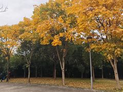 -牛岗山公园