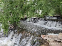 -长白岛森林公园