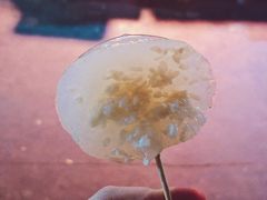 -洪河半边街夜市