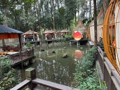 -二荆条·蜀鲜汇城市森林火锅