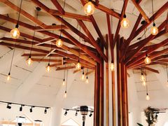 -ChanDu躔度咖啡(灯塔店)