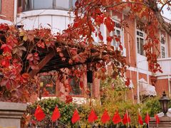 -天津五大道文化旅游区