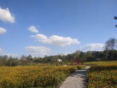 -溱湖国家湿地公园