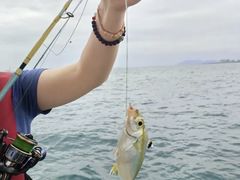 -小猫钓鱼海钓俱乐部(椰梦长廊店)