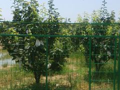 -呼吸森林·生态农庄农家乐私房菜