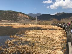 -泸沽湖国家级风景名胜区走婚桥