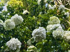 -杭州城北体育公园