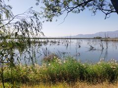 -野鸭湖国家湿地公园