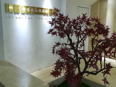 -雷雷游泳俱乐部
