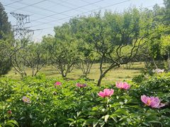-老君堂公园