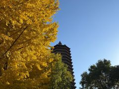 -玲珑塔公园