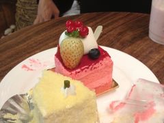 草莓提拉米苏-多乐之日(五道口店)
