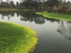 -桤木河湿地公园