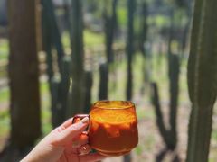 -MOJ coffee(瓯海泽雅水碓坑店)