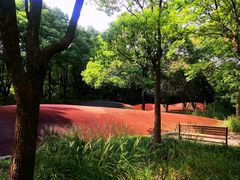 -黄兴公园