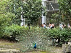 -黔灵山公园