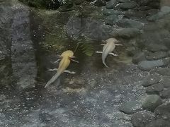 -青青世界