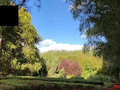 -吉林大学(前卫南区)
