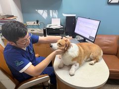 -联合动物医院(光谷诊疗中心)