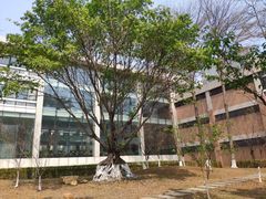 -广东外语外贸大学(白云山校区)