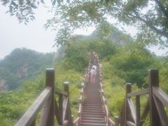 -大岭沟猕猴桃谷风景区