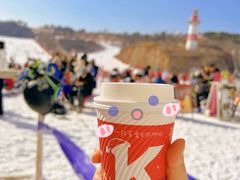 -蓟洲国际滑雪场